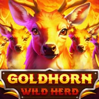 CRAZYRICH88 - Goldhorn Wild Herd | cr88 cr88id cr88indo