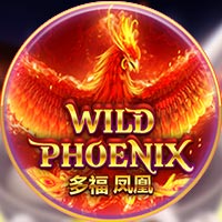 CRAZYRICH88 - Wild Phoenix | cr88 cr88id cr88indo