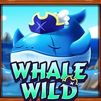 CRAZYRICH88 - Whale Wild | cr88 cr88id cr88indo