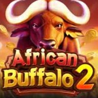 CRAZYRICH88 - African Buffalo 2 | cr88 cr88id cr88indo