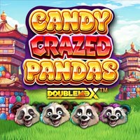 CRAZYRICH88 - Candy Crazed Pandas DoubleMax | cr88 cr88id cr88indo