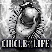 CRAZYRICH88 - Circle of Life | cr88 cr88id cr88indo