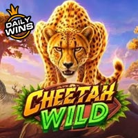 CRAZYRICH88 - Cheetah Wild | cr88 cr88id cr88indo